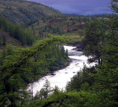 River in the taiga in northern Russia. The nature of the taiga in a mountainous area.