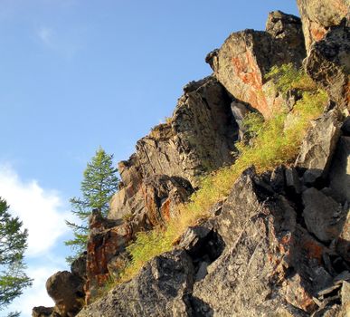 Rocks in the taiga in the Russian north. Exit to the surface of granites and basalts.