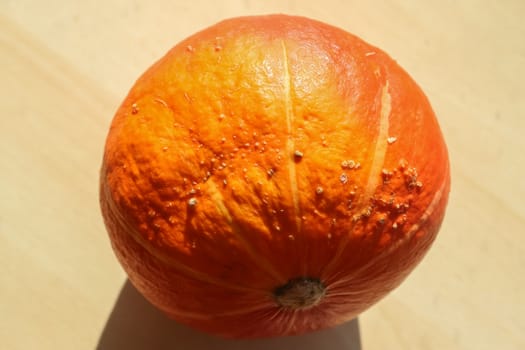 Beautiful orange pumpkin on a wooden background during helloween