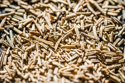 Rosemary closeup on luxury stone background as flat lay, dry food spices and recipe ingredients