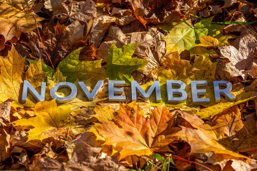 the word november laid with metal letters over yellow autumn fallen leaves - closeup with selective focus.
