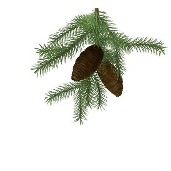 Christmas decoration: pine branch with a cone on a white background. 3D rendering. Copy space.