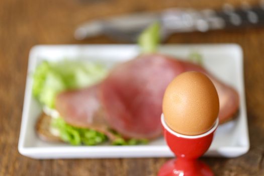 closeup of a boiled egg for breakfast