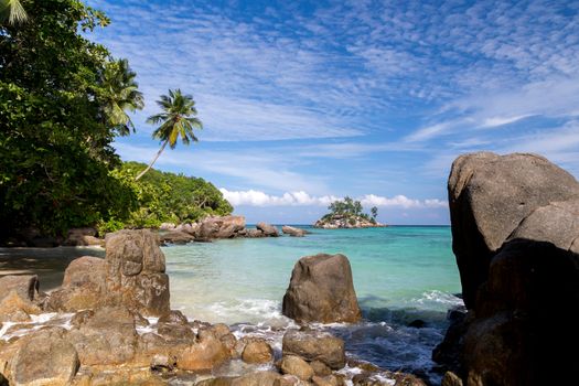 Big stones on the beach with a lot of green plants