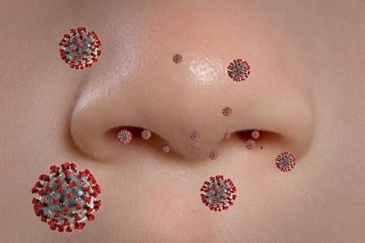 The person's nose when breathing in or exhaling viruses