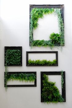 Nature frame on white wall 