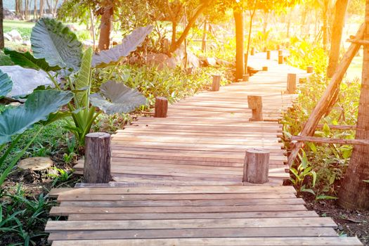 Beautiful rain forest at nature trails in Thailand 