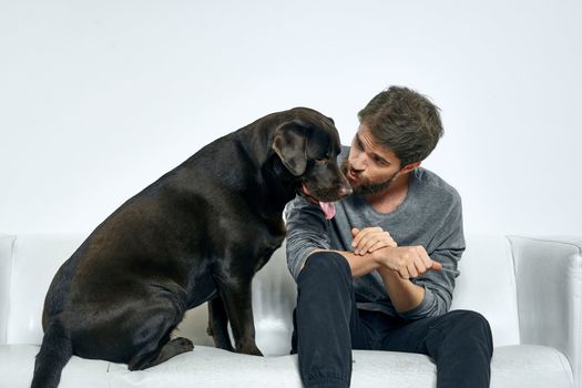 Male owner play with the dog on the couch training fun light room friends pet. High quality photo