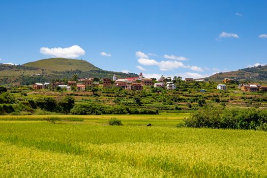 The Landscape shots of green fields and landscapes on the island of Madagascar