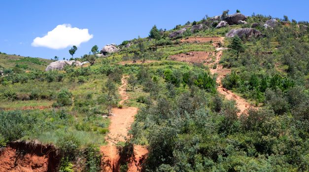 The Landscape shots of green fields and landscapes on the island of Madagascar