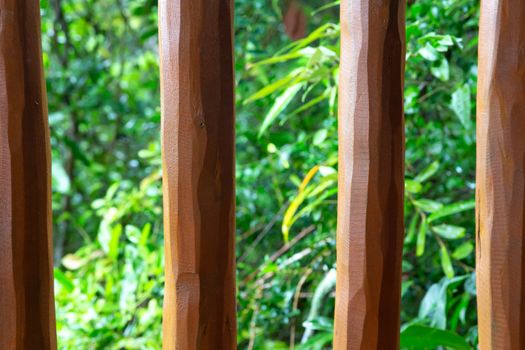 A Background from a wooden mesh or wood