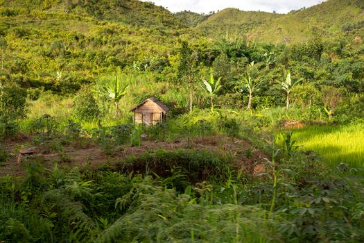 A landscape pictures of the country of Madagascar, with mountains and meadows