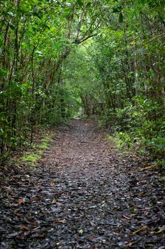 The Landscape shots of green fields and landscapes on the island of Madagascar