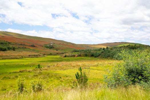 The Landscape shots of green fields and landscapes on the island of Madagascar