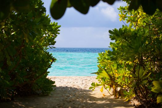 View from the inside of the island to the beach with plants and water