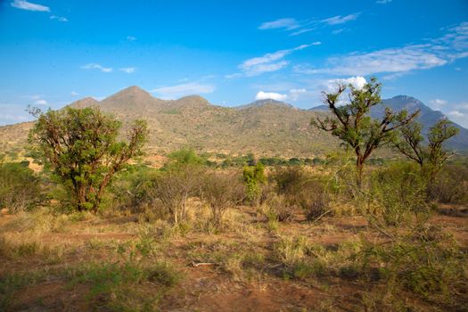 Landscape from Kenya, hills and trees with a blue sky