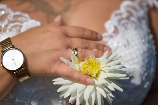 Hands of a newlyweds with the wedding rings