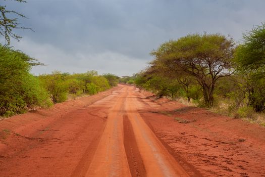 Red soil way through the savannah in Kenya