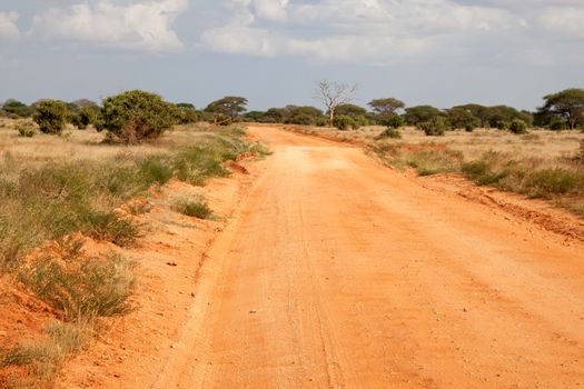 The way througt the savannah with red soil and a lot of plants