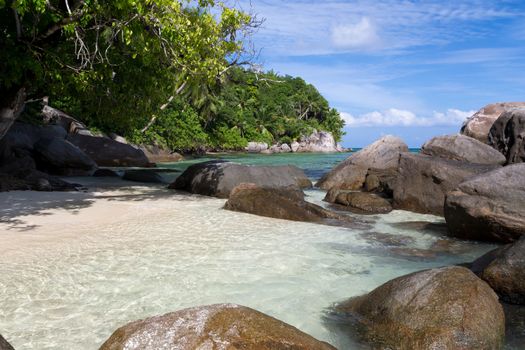 Big stones on the beach with a lot of green plants