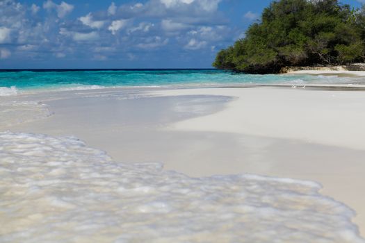 The beach on an island with waves