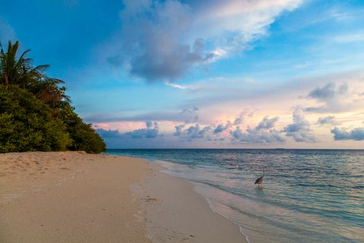 Sunrise on the beach on an island in the ocean