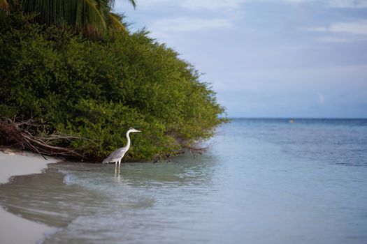Sunrise on the beach on an island in the ocean