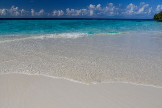 The beach on an island with waves