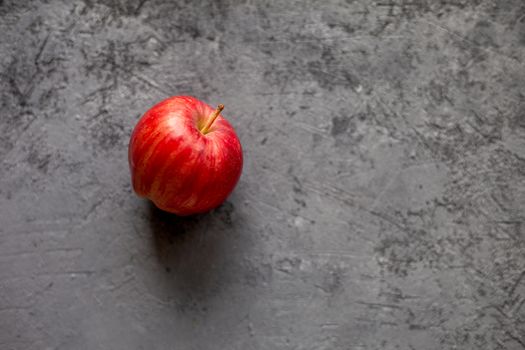 one Ripe garden red apples on gray concrete. Fruits concept of the fall harvest. Space for text.