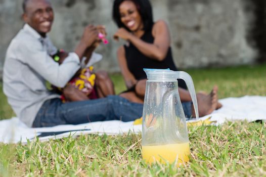 Good family sat on the grass in the park with their child and played together during the picnic