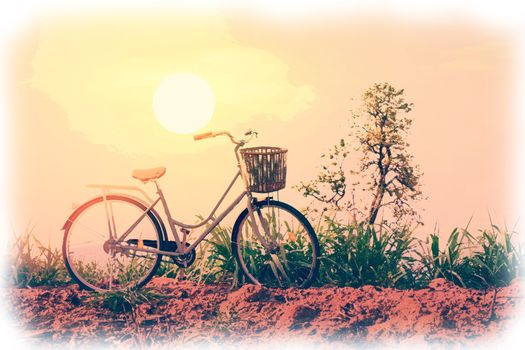 Beautiful vintage bicycle in the field with colorful sunlight and blue sky ; vintage filter style for greeting card and post card.