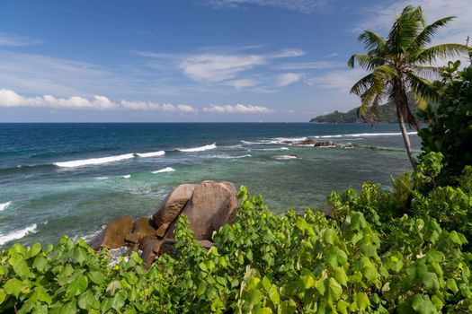 The Seychelles, one of beaches with big stones and a lot of plants