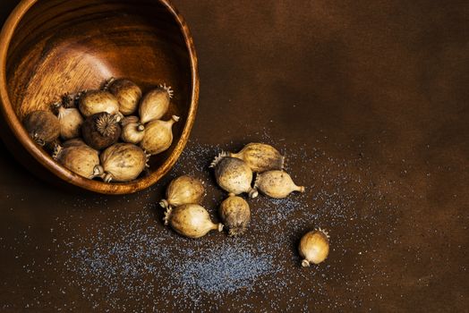 Wooden bowl full of scattered harvested poppy pods (Papaver somniferum) with many blue ripe poppy seeds lying on the brown background around