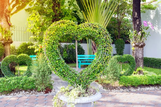 Heart tree bending in the park.