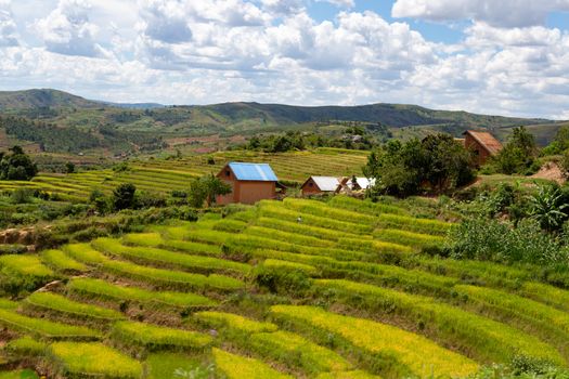 The Landscape shots of green fields and landscapes on the island of Madagascar