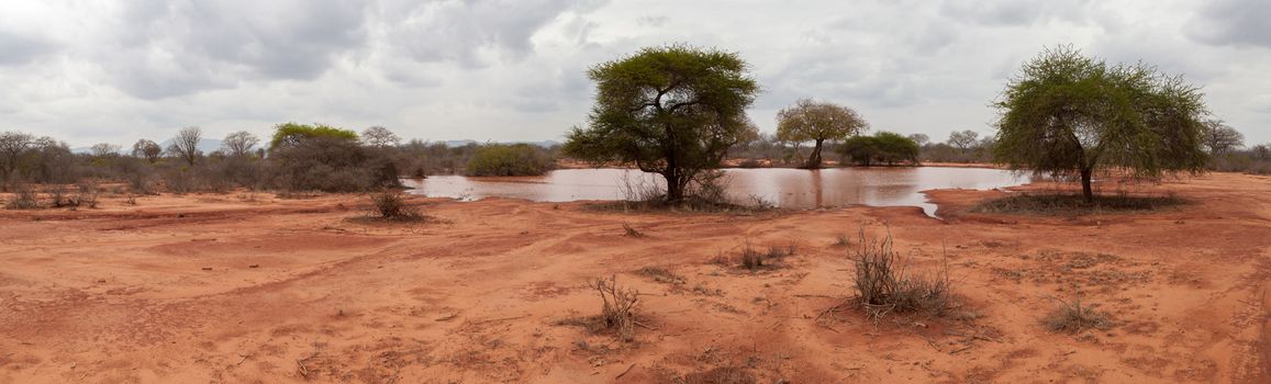Landscape with a small lake in the savannah of Kenya