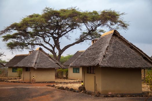 Camp in Kenya, on safari
