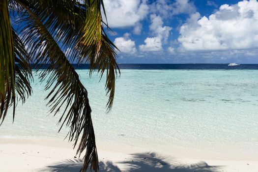 View to the beach with green palm leaves
