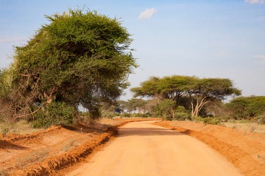 A way with red soil throught the savanna with a lot of trees and green plants