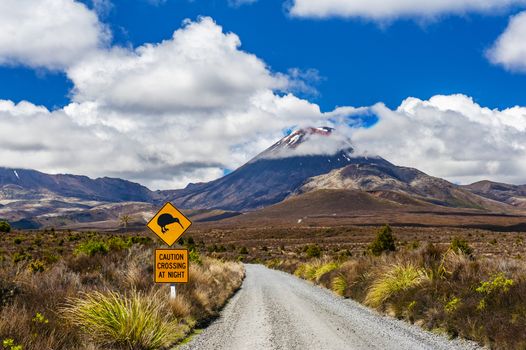 Kiwi sign near the road leading to famous volcano Mt. Ngauruhoe, national park Tongariro. New Zealand.  