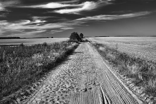 rural landscape with Granite cobblestones road between arable fields after the harvest in Poland, black and white