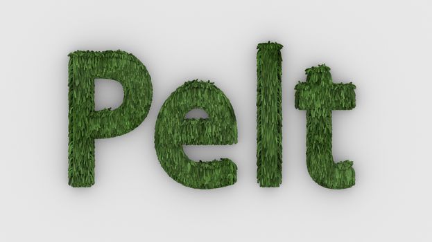 Pelt - green word 3d isolated on white background realistic render of furry letters illustration. natural combination fur. fur pelt. animal fur. dog, cat, bear, tiger, wolf, beast, livestock. animals