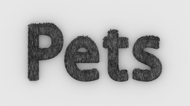 Pets - 3d word gray on white background. render of furry letters. pets fur. Pet shop, pet house, pet care emblem logo design template. Veterinary clinics and animal shelters homeless illustration