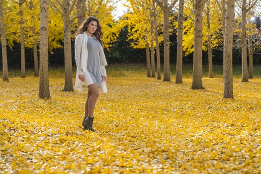 A beautiful brunette model with yellow fall foliage