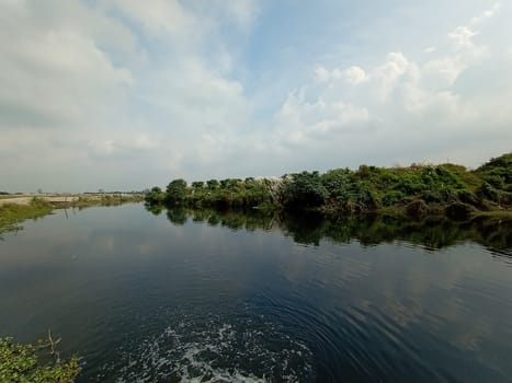 lake and green view with sky and nature