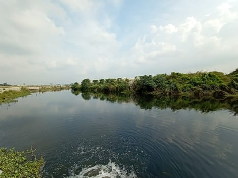 lake and green view with sky and nature