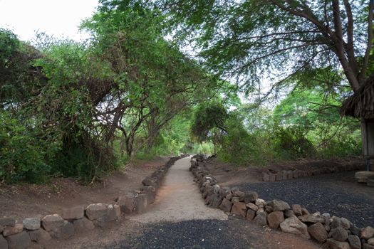 Path in Mzima Springs, landscape of Kenya