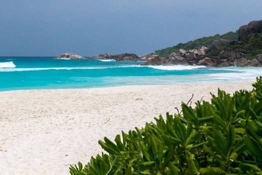 White sand on the beach and waves a lot of green plants and rocks