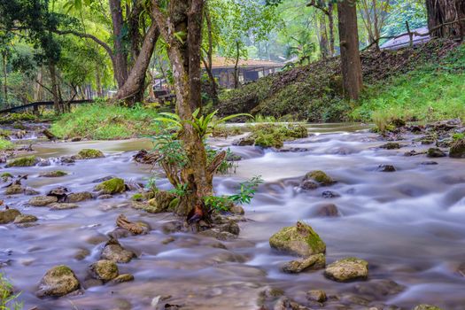 Small stream from mountain