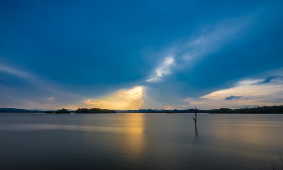 Tree in the lake and sunset background